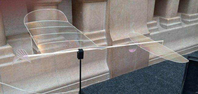 11698739_918437451575802_3365972055583005081_o